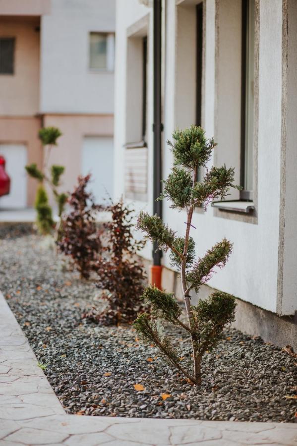 The Nook Aparthotel Timisoara Bagian luar foto